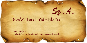Szélesi Adrián névjegykártya